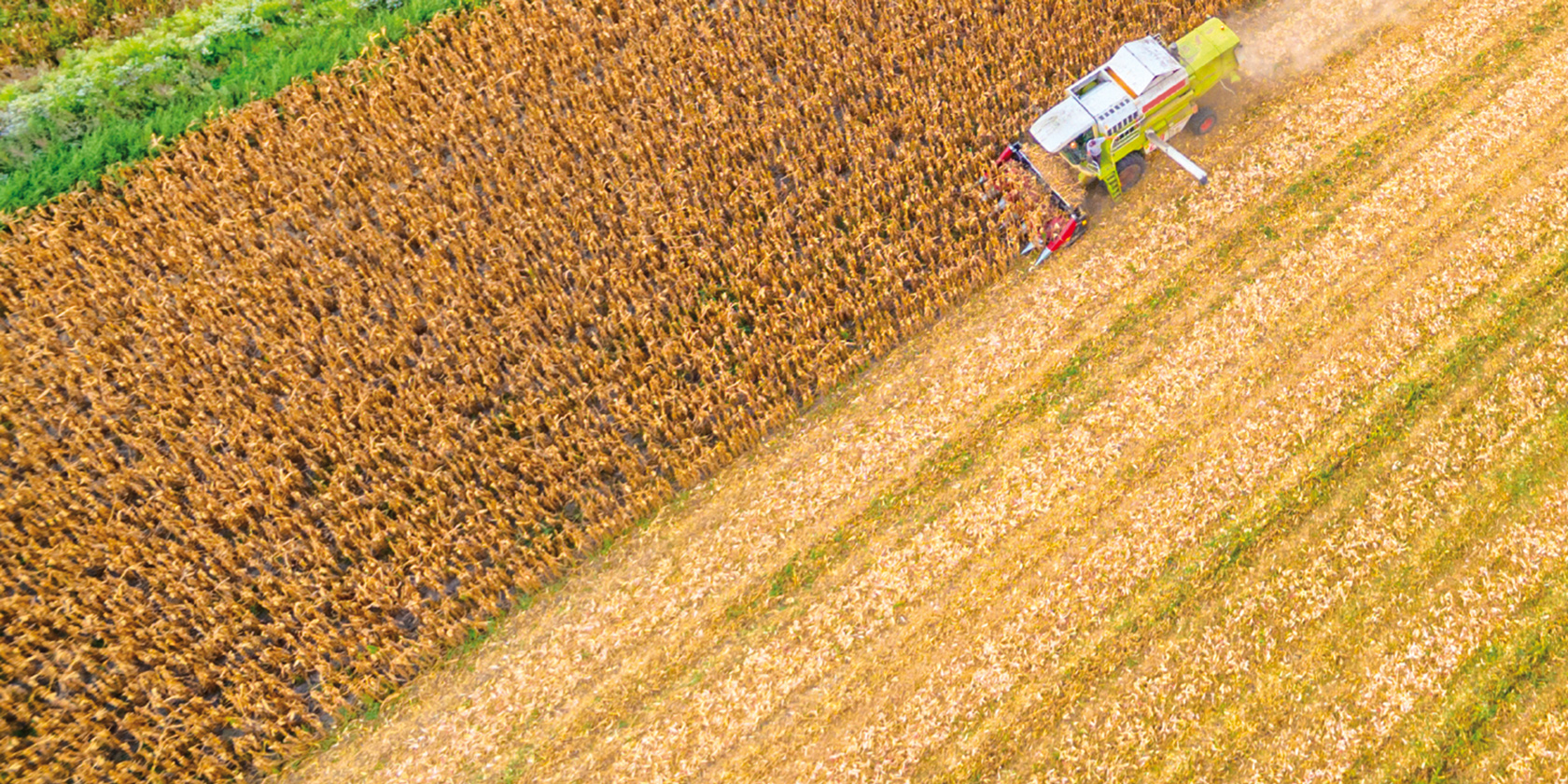 Mähdrescher auf einem Feld